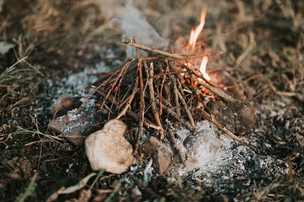 Falò per bambini piccoli nella foresta a terra. ramoscelli secchi di sterpaglia per il fuoco sono ammucchiati in un cerchio di pietre e si accende una fiamma. campagna e scena rustica