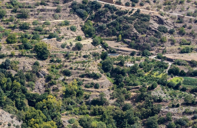 Fama Bayarcal nei terrazzi in Spagna