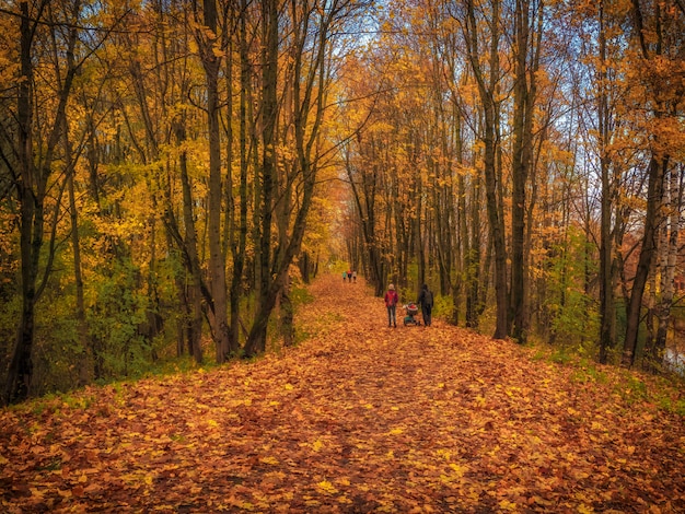 Famiglia a piedi lungo il vicolo nel parco in autunno.