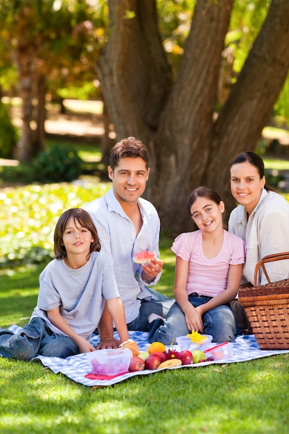Famiglia allegra che fa un picnic nel parco