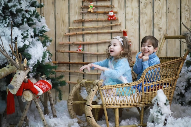 Famiglia che decora un bellissimo albero di Natale dal vivo Famiglia amorevole con regali in camera Famiglia felice in vacanza