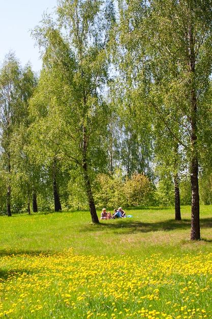 Famiglia che fa un picnic nel parco