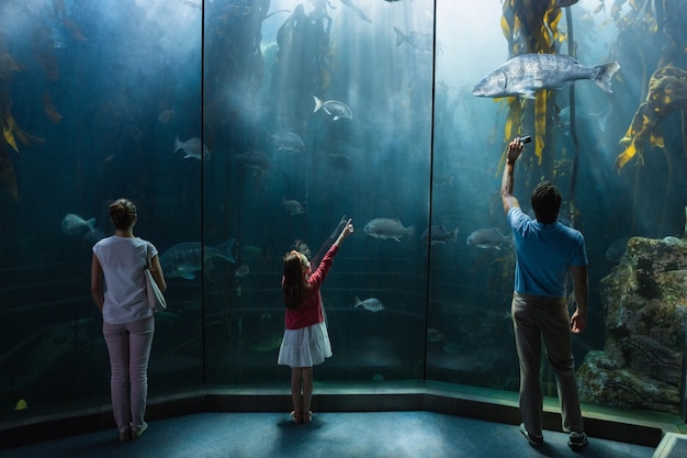 Famiglia che guarda il serbatoio di pesce