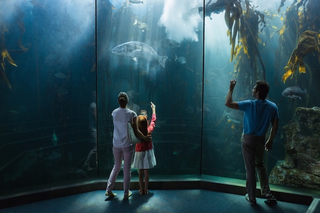 Famiglia che guarda il serbatoio di pesce