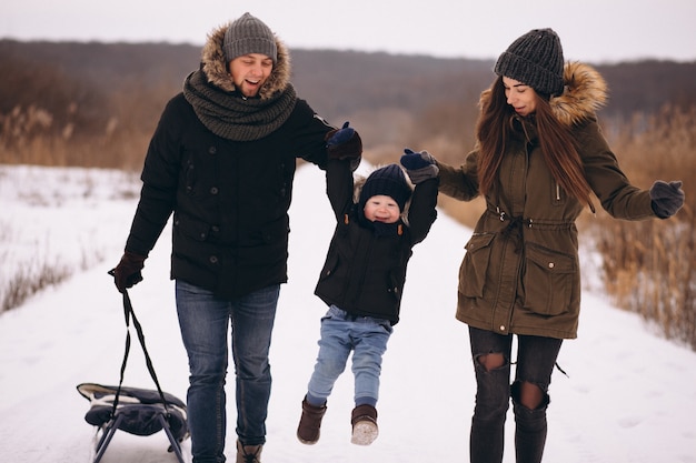 Famiglia che slitta in un parco di inverno