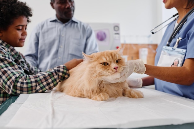 Famiglia con gatto dai veterinari