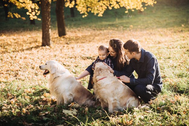 Famiglia con un bambino e due golden retriever in un parco di autunno