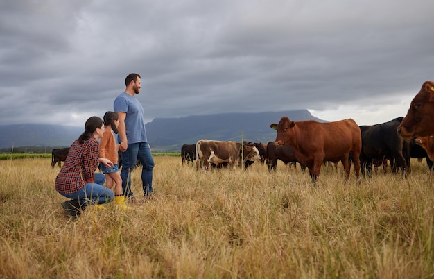 Famiglia di campagna agricola con mucche in una fattoria o in un campo in erba con nuvole temporalesche sullo sfondo Sostenibilità madre padre e ragazza con animali da allevamento di bovini per attività di crescita di carne o manzo