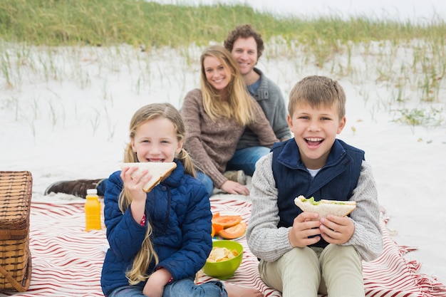 Famiglia di quattro felice ad un picnic della spiaggia