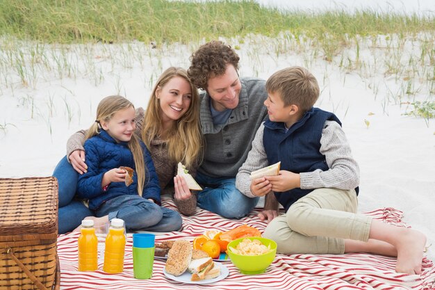 Famiglia di quattro felice ad un picnic della spiaggia