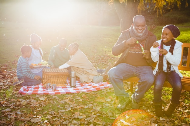 Famiglia felice avendo un picnic