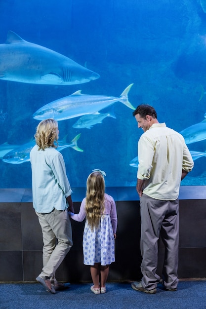 Famiglia felice guardando il serbatoio di pesce