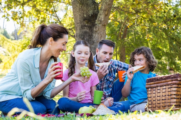 Famiglia felice in un pic-nic nel parco