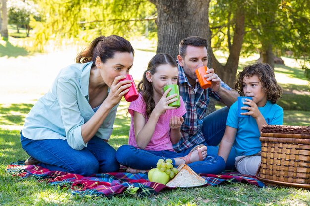 Famiglia felice in un pic-nic nel parco