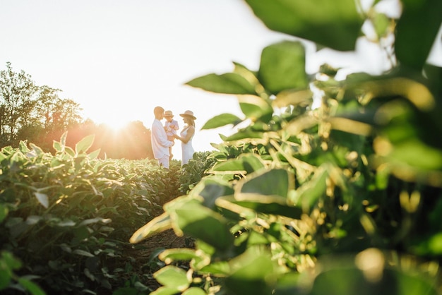 Famiglia felice madre padre e figlia figlia sulla natura al tramonto