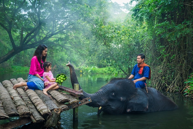 Famiglia felice mahout, Thailandia