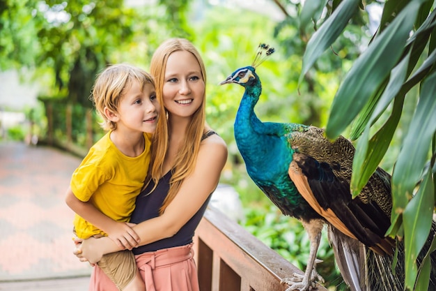 Famiglia felice mamma e figlio che guardano il pavone nel parco