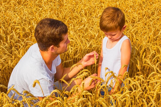 Famiglia felice Padre e figlio sul campo di grano Il maschio mostra la spiga di grano del ragazzo