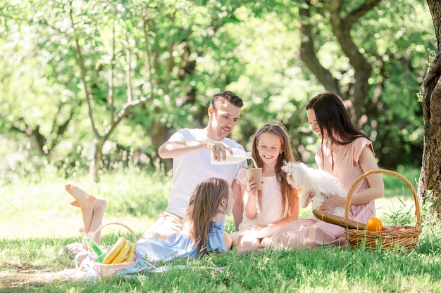 Famiglia felice su un pic-nic nel parco in una giornata di sole