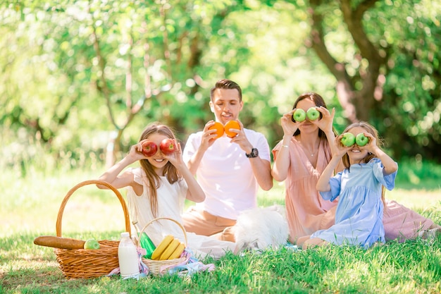 Famiglia felice su un pic-nic nel parco in una giornata di sole