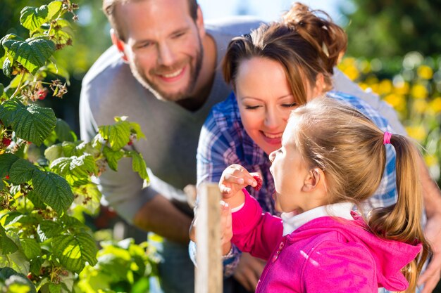 Famiglia raccolta bacche in giardino