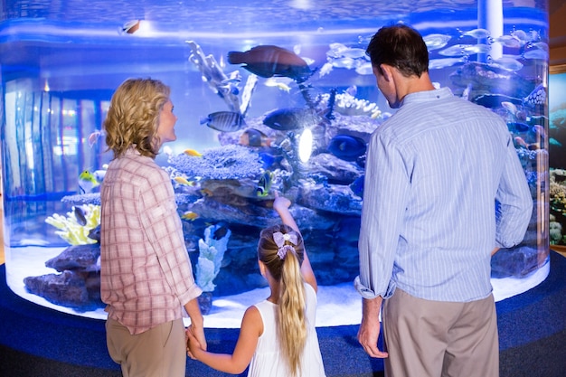 Familly guardando acquario