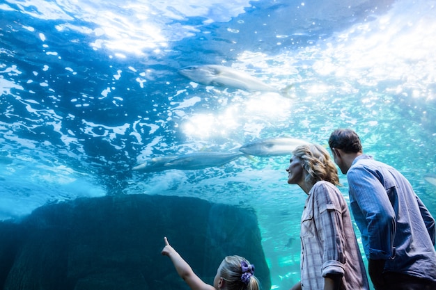 Familly guardando acquario