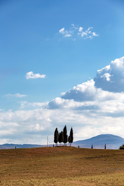 Famosa isola dei cipressi