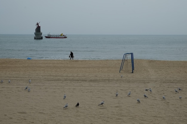 Famosa spiaggia di haeundae a busan corea del sud