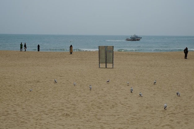 Famosa spiaggia di haeundae a busan corea del sud