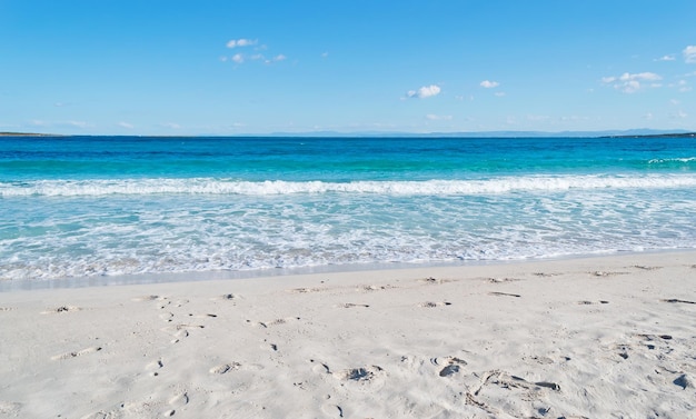 Famosa spiaggia La Pelosa in una giornata limpida