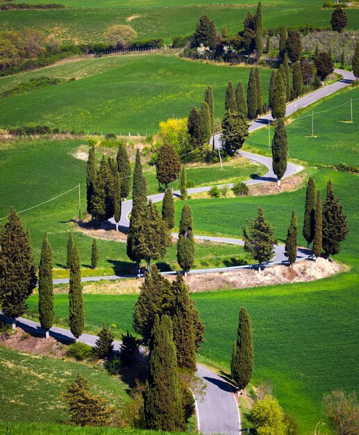 Famosa strada tortuosa