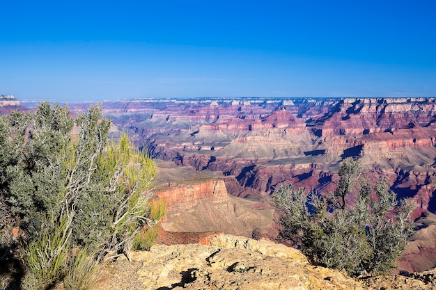 Famosa vista sul Grand Canyon, Arizona, USA