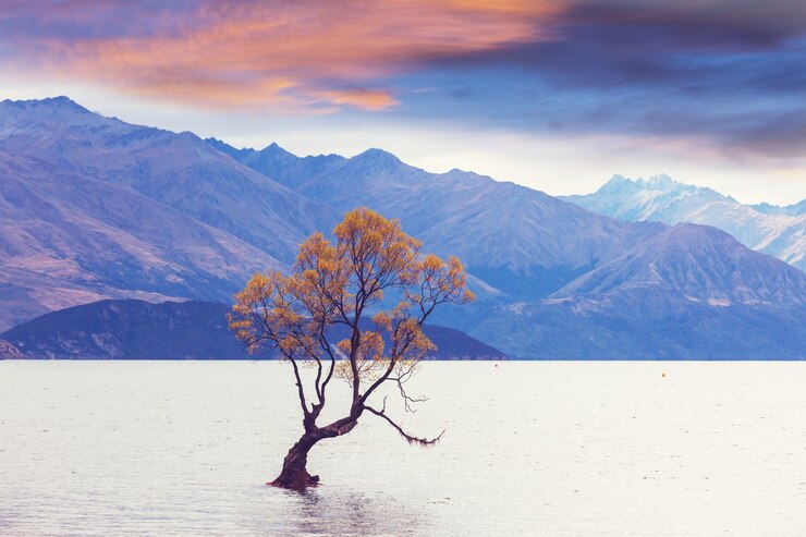 Famoso albero Wanaka all'interno del lago Wanaka, Nuova Zelanda.