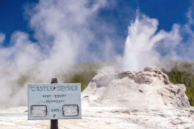 Famoso Castle Geyser nel Parco Nazionale di Yellowstone USA