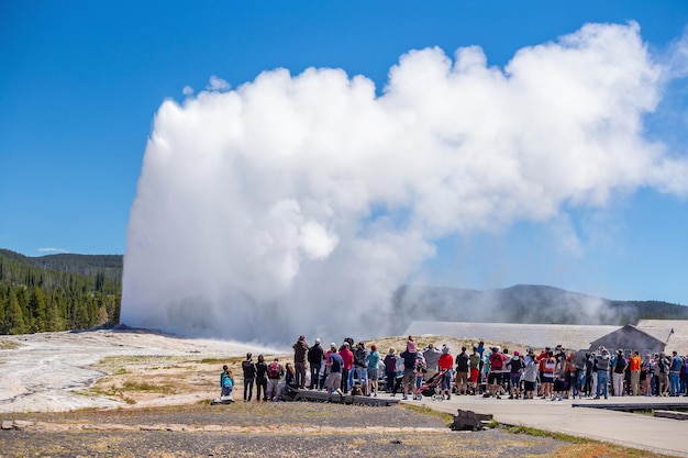 Famoso Old Faithful Geyser nel Parco Nazionale di Yellowstone USA