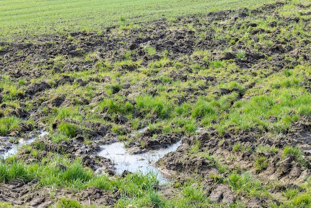 Fango di terreno umido su un campo agricolo