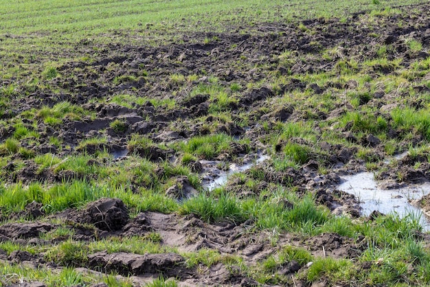 Fango di terreno umido su un campo agricolo