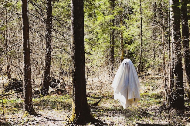 Fantasma in volo con un mantello bianco in una foresta incantatax9xDxA