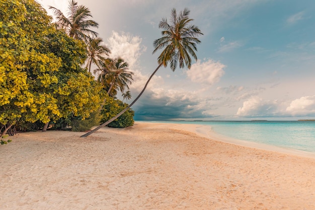 Fantastica vista ingrandita delle calme onde dell'acqua di mare con la luce del sole al tramonto di alba arancione. Isola tropicale