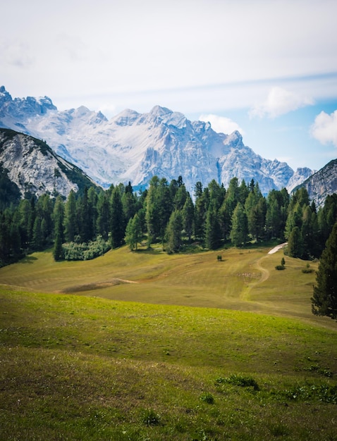 Fantastica vista su prato piazza e monte specie in trentino