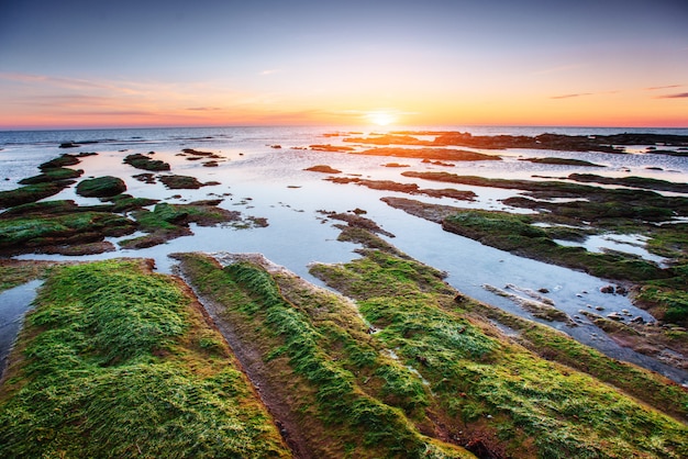 Fantastica vista sulla riserva naturale