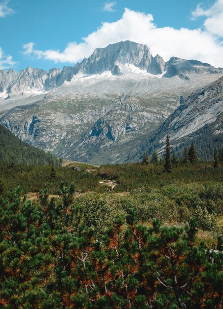 Fantastica vista sulla val di fumo e sul lago daone