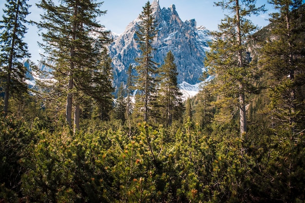 Fantastica vista sulla val viscalina in trentino