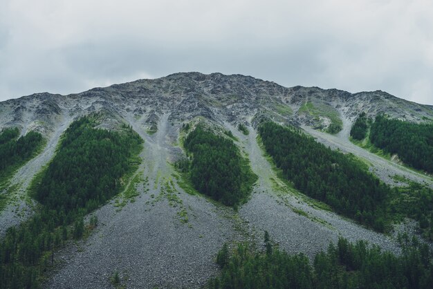 Fantastico paesaggio con grandi montagne con foreste e ghiaioni con tempo nuvoloso. Scenario atmosferico con la cima della montagna in una giornata nuvolosa. Bella montagna gigante con foresta e talus sotto il cielo grigio.