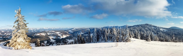 Fantastico paesaggio invernale Cielo blu Carpazi Ucraina Europa Mondo di bellezza