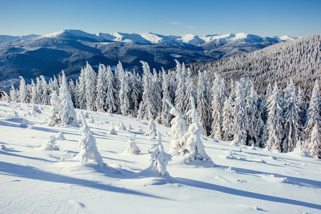 Fantastico paesaggio invernale tra le montagne dell'Ucraina