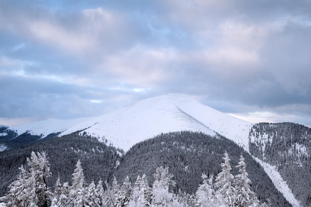 Fantastico paesaggio invernale