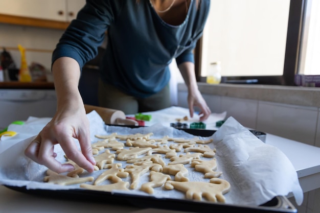 Fare biscotti a forma di dinosauri