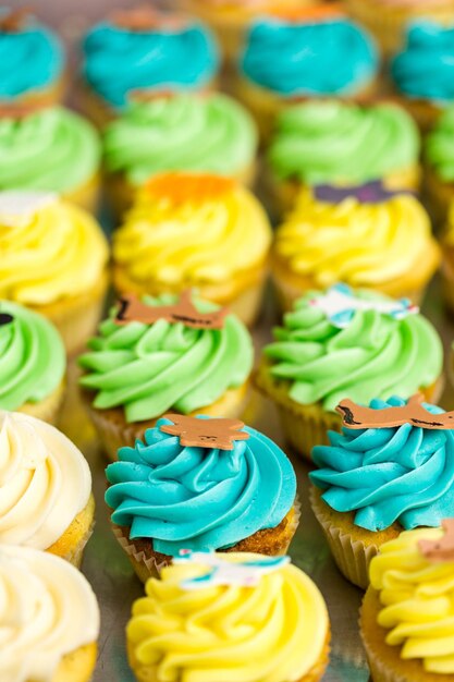Fare cupcakes multicolori per la festa di compleanno dei bambini.